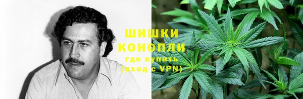 spice Абаза