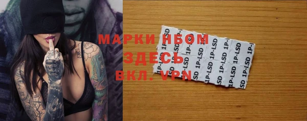 хмурый Алексеевка