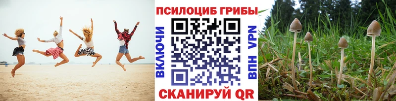 дарнет шоп  Новоульяновск  кракен сайт  Галлюциногенные грибы мицелий 
